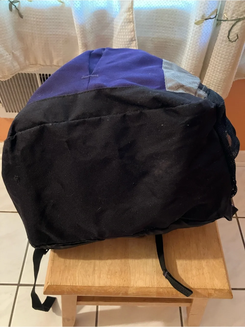 Purple and Gray  Backpack